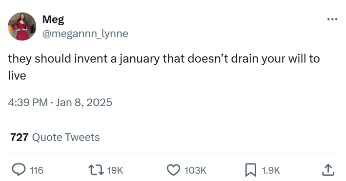 January meme, text reads, "they should invent a january that doesn’t drain your will to live"