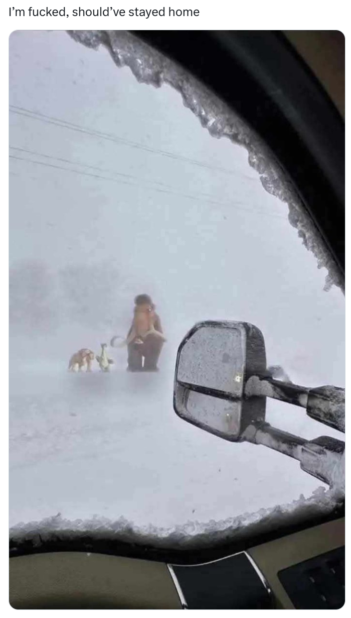 January meme, text reads, "I’m f*cked, should’ve stayed home" with a photo out their car window of the Ice Age animated characters.