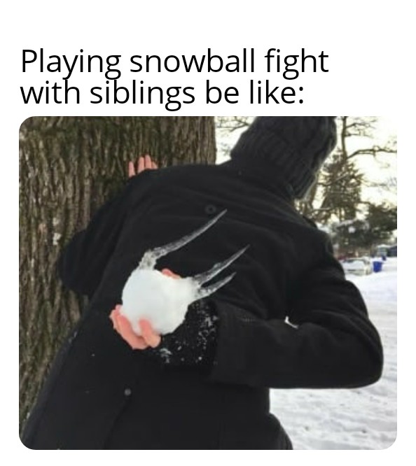 January meme, text reads, "Playing snowball fight with siblings be like" with a photo of a kid holding an ice ball behind their back.