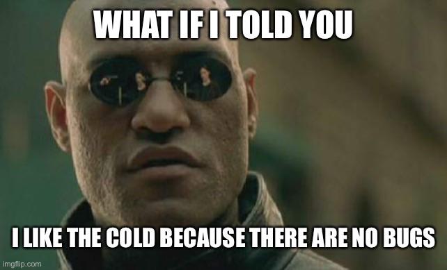 January meme, text reads, "What if I told you I like the cold because there are no bugs." with Morpheus from The Matrix.