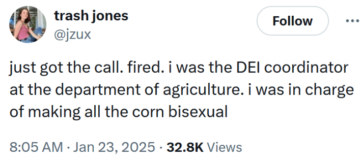 Tweet reading "just got the call. fired. i was the DEI coordinator at the department of agriculture. i was in charge of making all the corn bisexual."
