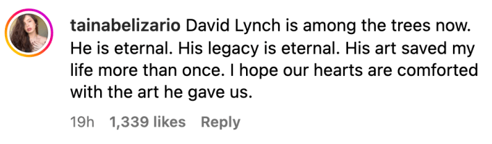 Comment reacting to Kyle MacLachlan's tribute to David Lynch. Text reads, "David Lynch is among the trees now. He is eternal. His legacy is eternal. His art saved my life more than once. I hope our hearts are comforted with the art he gave us."