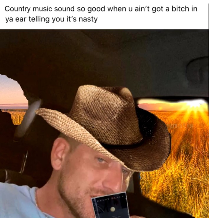 Country music sound so good when u ain't got a bitch in ya ear telling you it's nasty