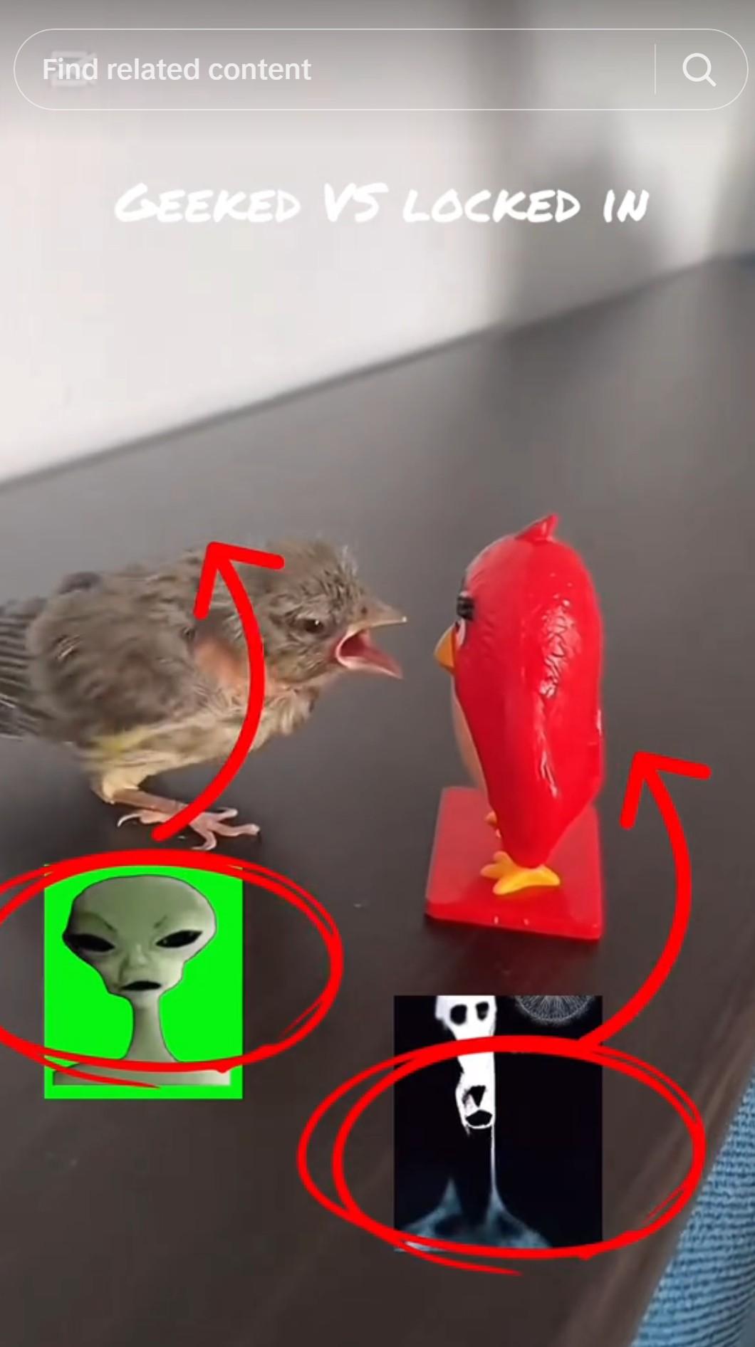 Locked In Alien memes