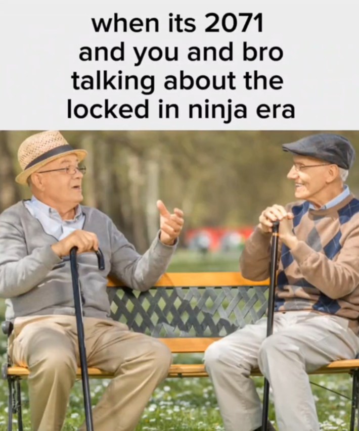 "when its 2071 and you and bro talking about the locked in ninja era"