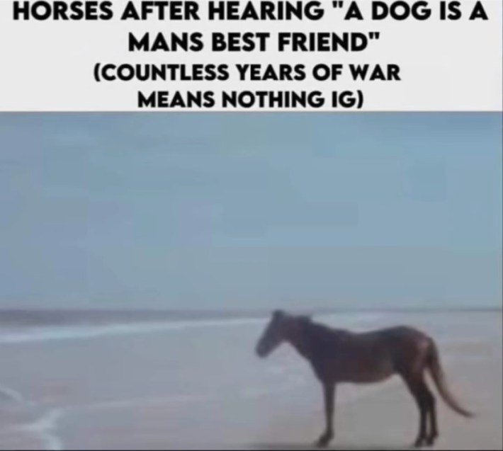 "horses hearing dogs called man's best friend after years of war" man horse meme