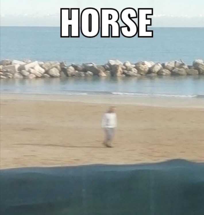 horse man beach meme