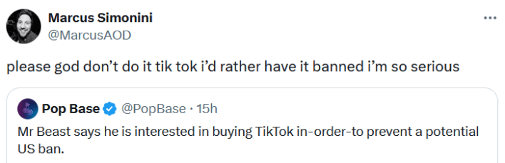 Tweet reading "please god don’t do it tik tok i’d rather have it banned i’m so serious."