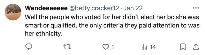 Tweet about the Philadelphia Mayor's Eagles chant. Text reads, "Well the people who voted for her didn’t elect her bc she was smart or qualified, the only criteria they paid attention to was her ethnicity."