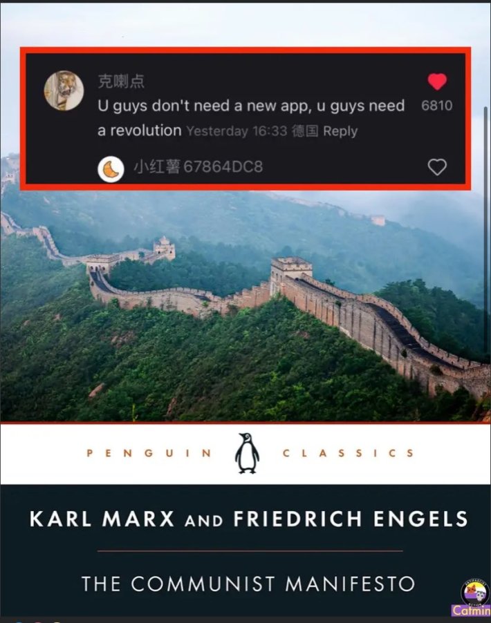 RedNote meme, text reads, "U guys don't need a new app, u guys need a revolution" overlaid on top of the cover of The Communist Manifesto.
