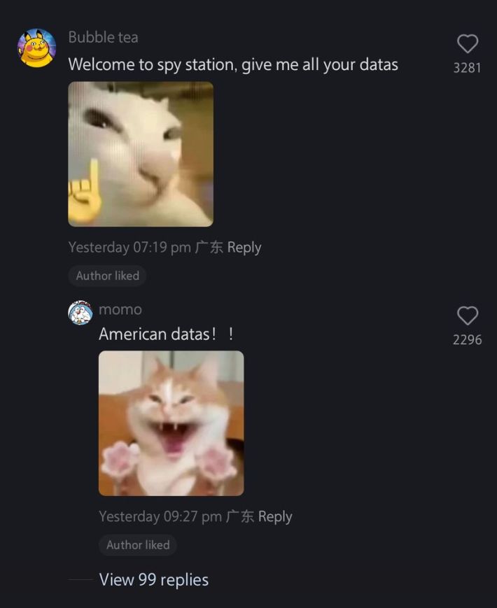 RedNote meme with a screenshot from RedNote, text reads, "Welcome to spy station, give me all your datas (cat with finger raised)" and second comment that says, "American datas! ! (excited cat image)"