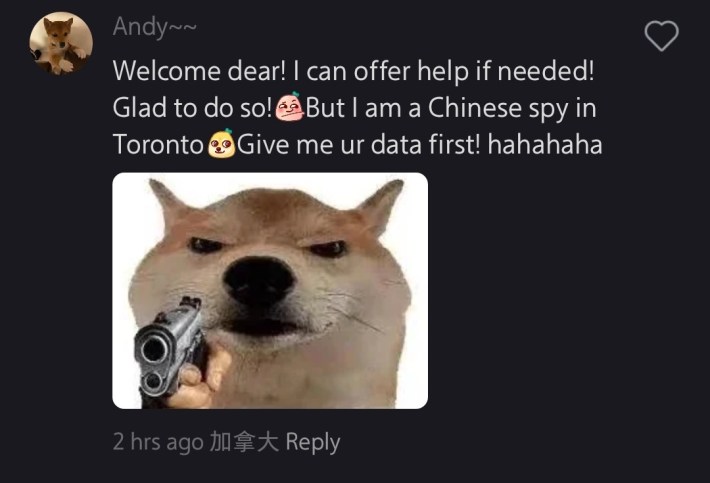 RedNote meme, text reads, "Welcome dear! I can offer help if needed! Glad to do so! But I am a Chinese spy in Toronto. Give me ur data first! hahahahaha" with an angry shiba inu holding a gun.