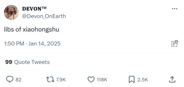 RedNote meme, text reads, "libs of xiaohongshu"