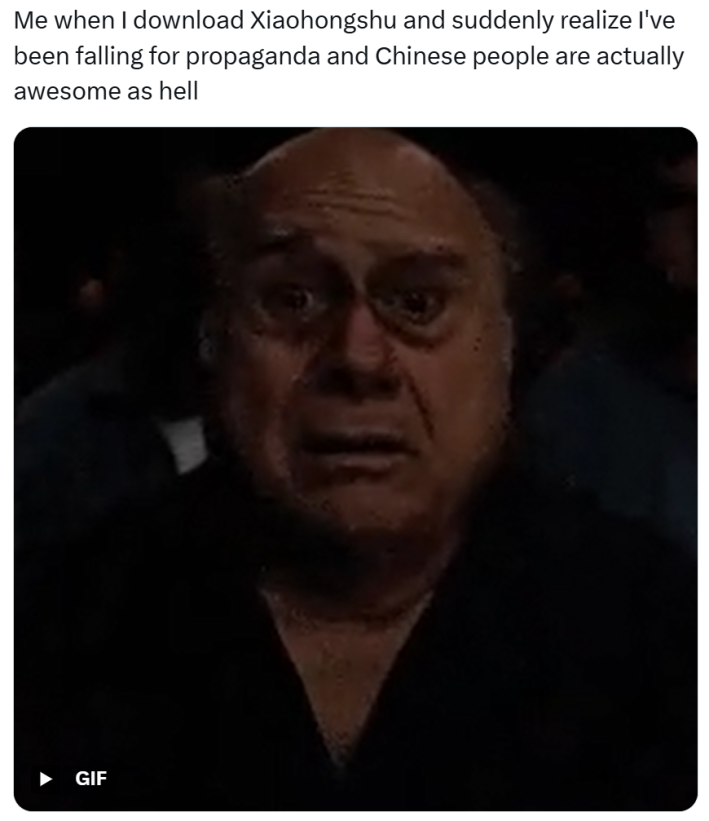 RedNote meme, text reads, "Me when I download Xiaohongshu and suddenly realize I've been falling for propaganda and Chinese people are actually awesome as hell" with a GIF of Danny deVito looking scared and injured.
