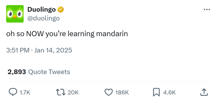 RedNote meme from Duolingo, text reads, "oh so NOW you’re learning mandarin"