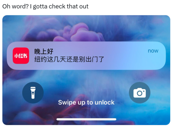 RedNote meme, text reads, "Oh word? I gotta check that out" with a screenshot of a notification from RedNote in Mandarin that says, "Good evening, it's better not to go out in New York these days."