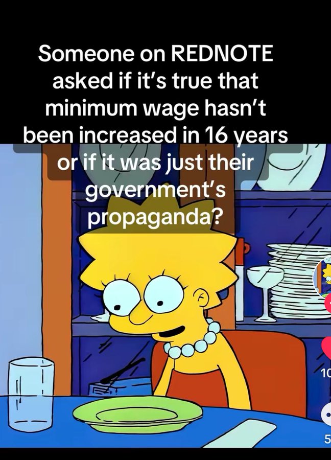 americans radicalized by rednote