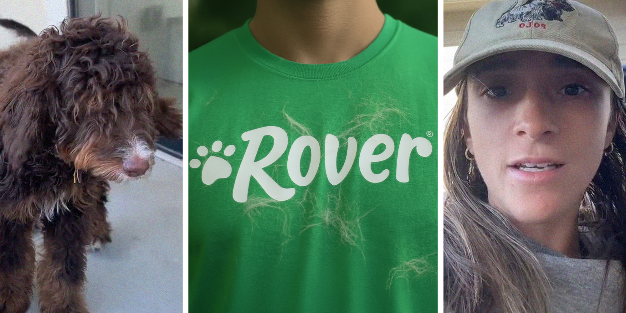 Adorable little puppy(l) Rover logo on green t-shirt covered in dog hair(c) Woman wearing hat shares her experience taking care of dog(r)