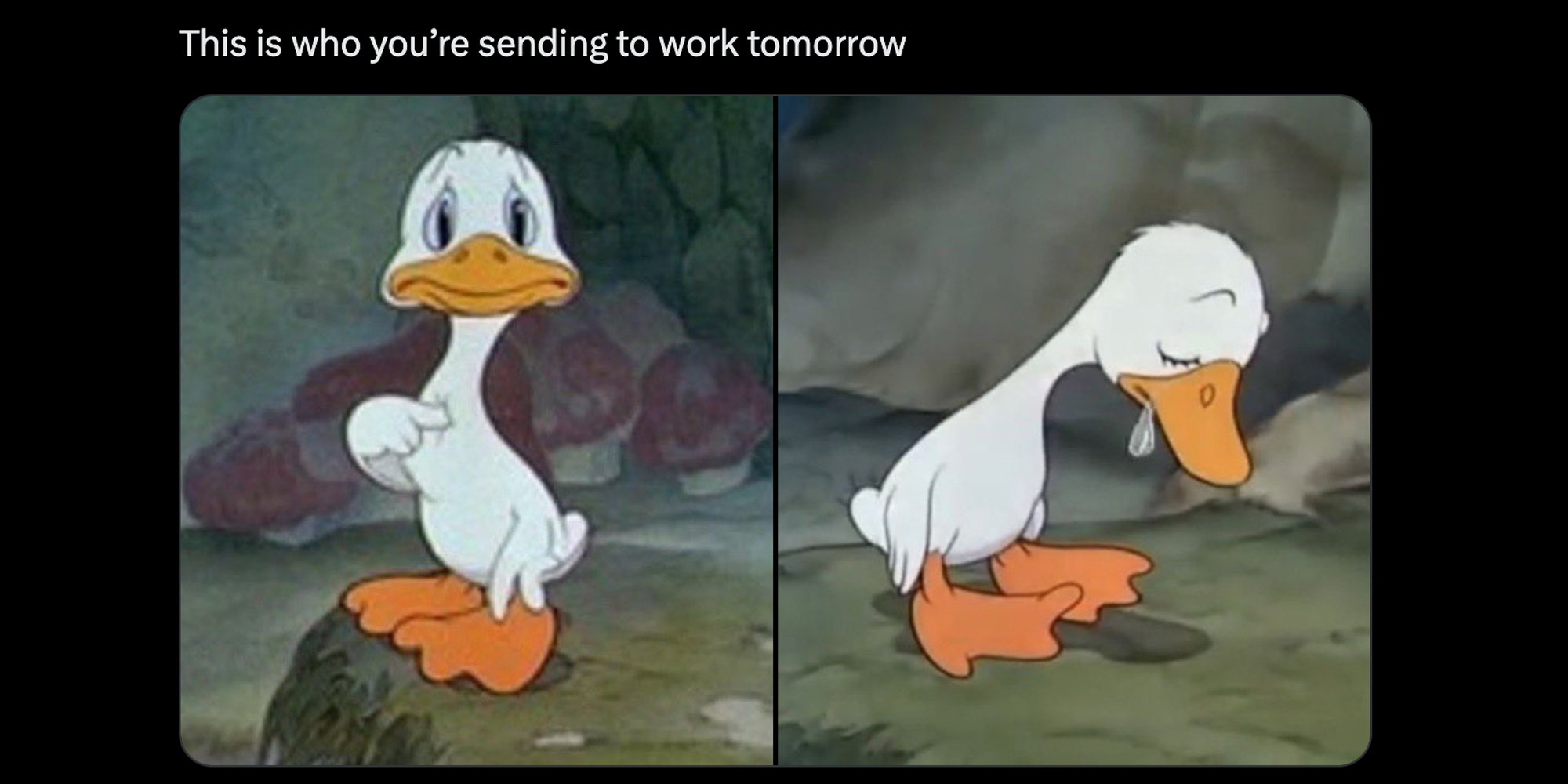 Sad duck pointing to himself(l), and crying(r) with text 'this is who you're sending to work tomorrow"(top)