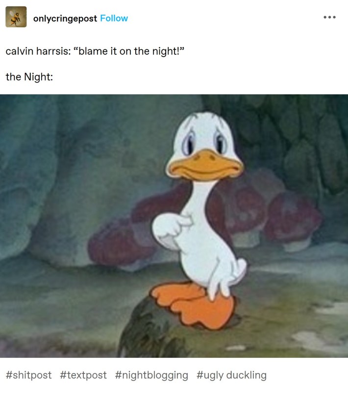 calvin harris blame it on the night sad duck pointing at himself meme