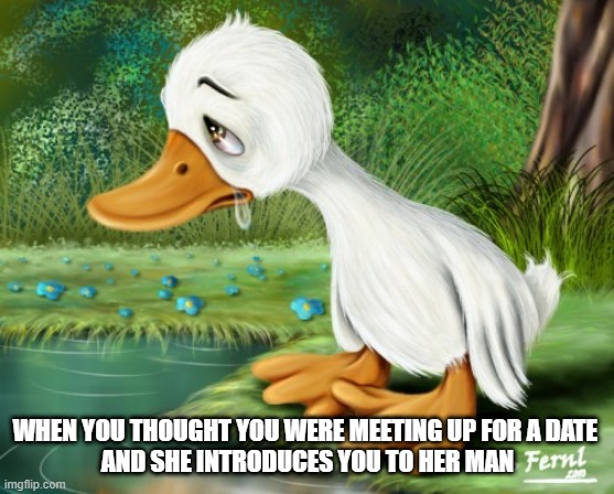 "when you thought you were meeting up for a date and she introduces you to her man" sad duckling meme
