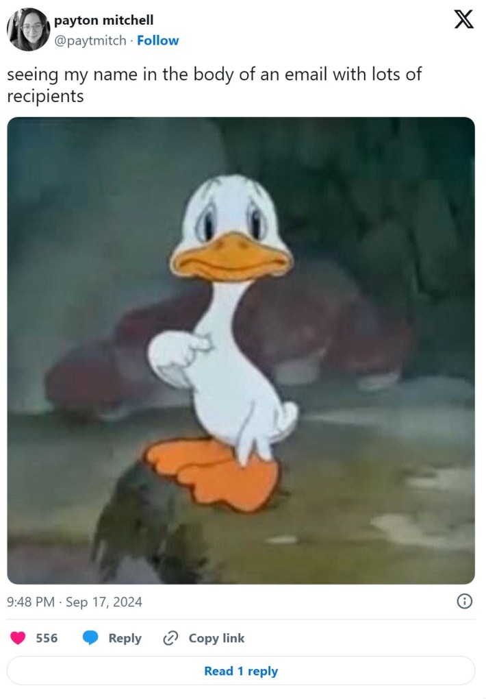 "seeing my name in the body of an email with lots of recipients" sad duck pointing at himself memes