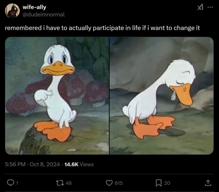 "remembered i have to actually participate in life if i want to change it" sad duck pointing at himself