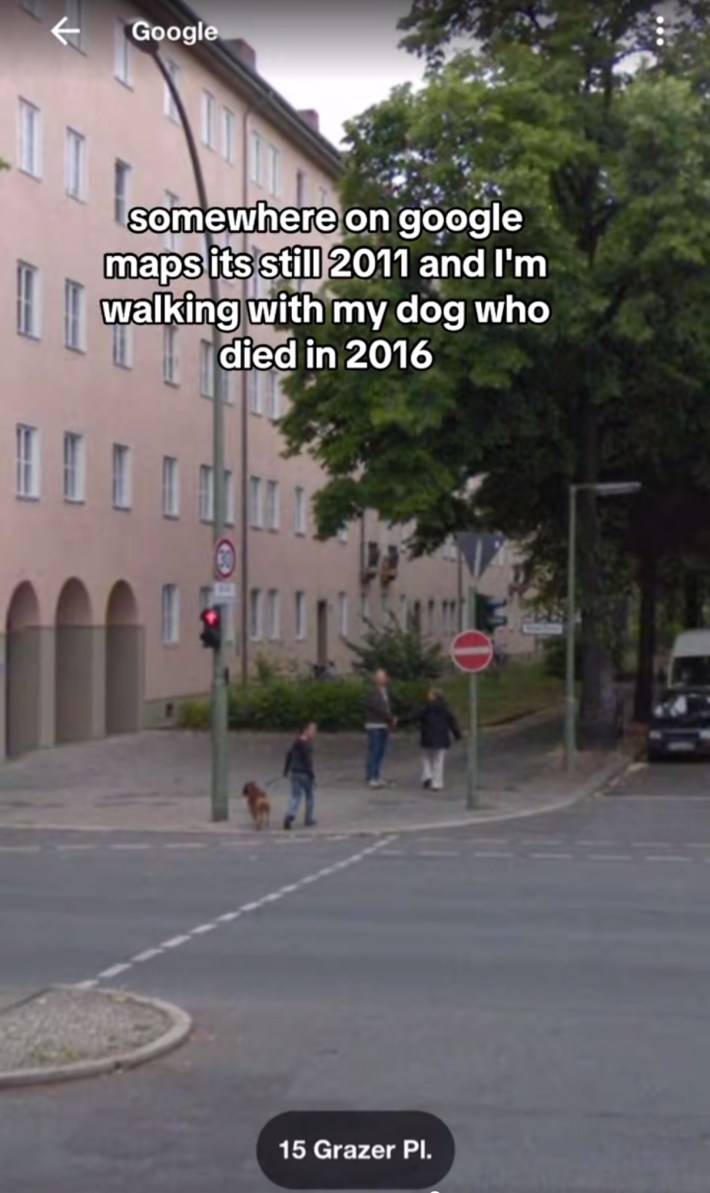 Somewhere on Google trend screenshot of a busy European street with a young kid and their family walking down the street with their dog. Text overlay reads, "Somewhere on Google maps it's still 2011 and I'm walking with my dog who died in 2016."