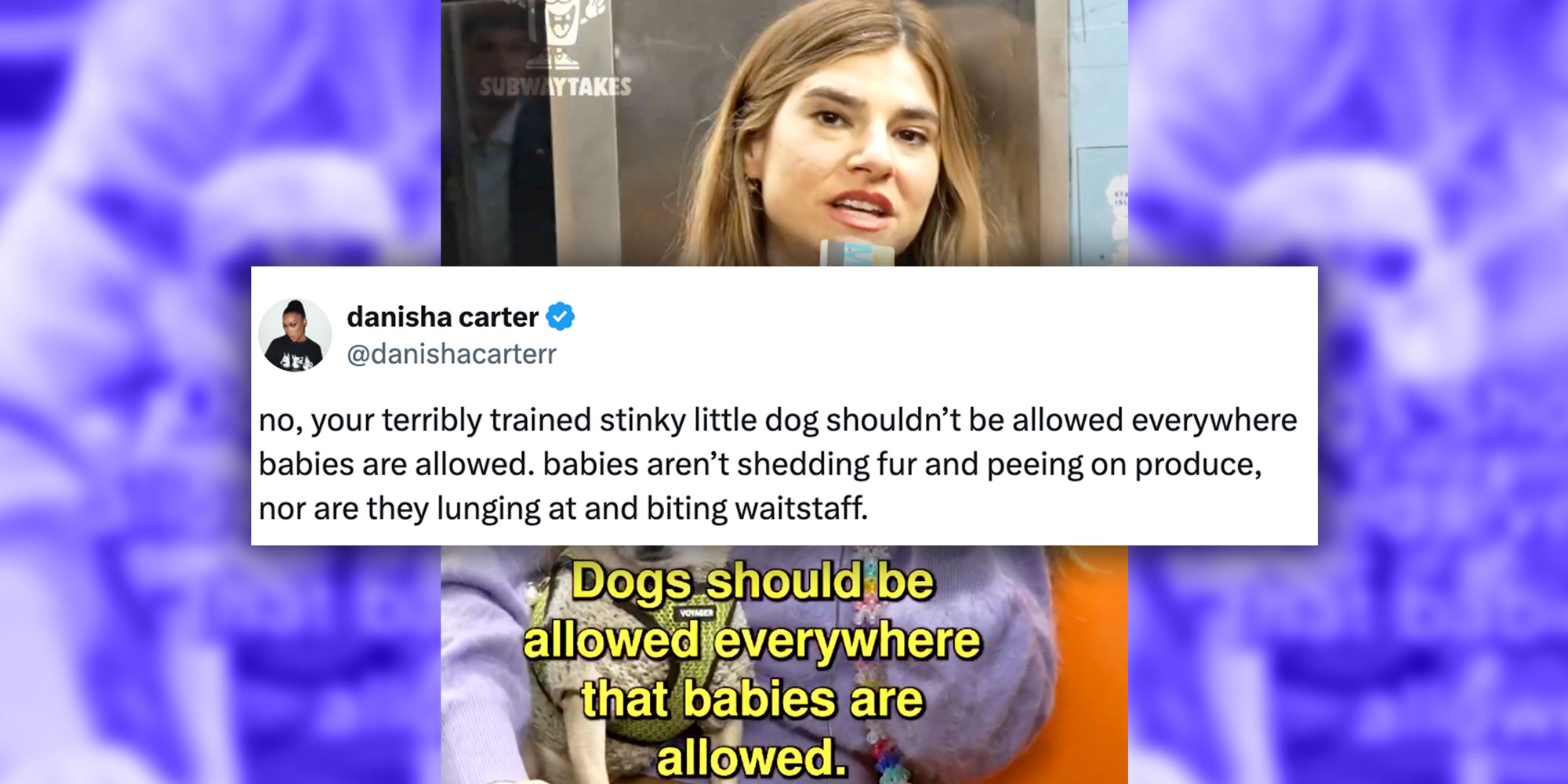 Screenshots of a tweet by @danishacarterr that reads "no, your terribly trained stinky little dog shouldn’t be allowed everywhere babies are allowed. babies aren’t shedding fur and peeing on produce, nor are they lunging at and biting waitstaff." over a screenshoot from @SubwayTakes of a woman with her dog and the caption "Dogs should be allowed everywhere that babies are allowed."