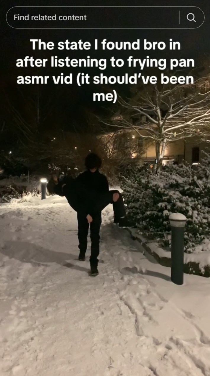 "the state i found bro in after listening to frying pan asmr vid [it should have been me]"