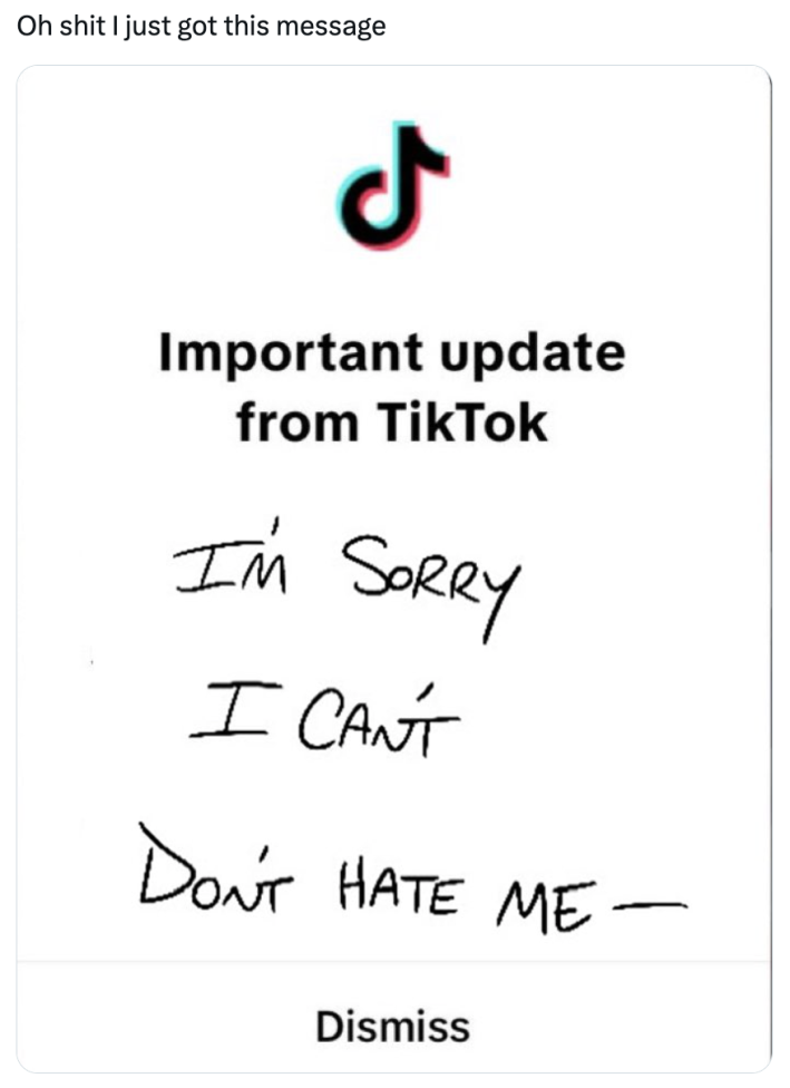 TikTok ban parody, text reads, "Important update from TikTok. I'm sorry I can't don't hate me—"