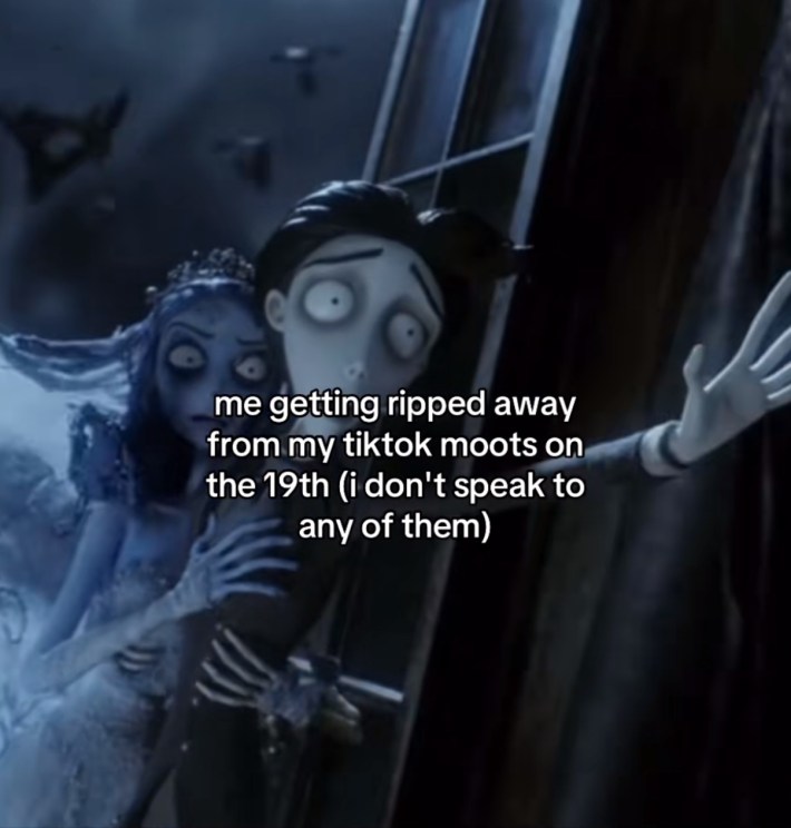 TikTok screenshot of a Corpse Bride scene. Text overlay reads, "me getting ripped away from my tiktok moots on the 19th (i don't speak to any of them)