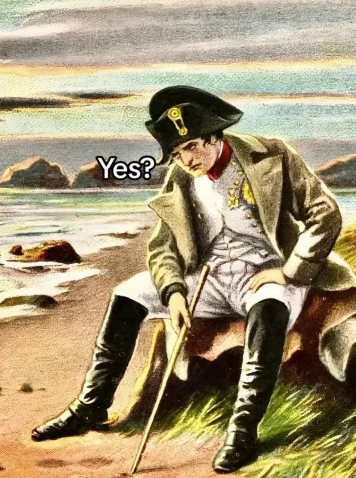 TikTok screenshot of a weary Napoleon painting. Text overlay says, "Yes?"