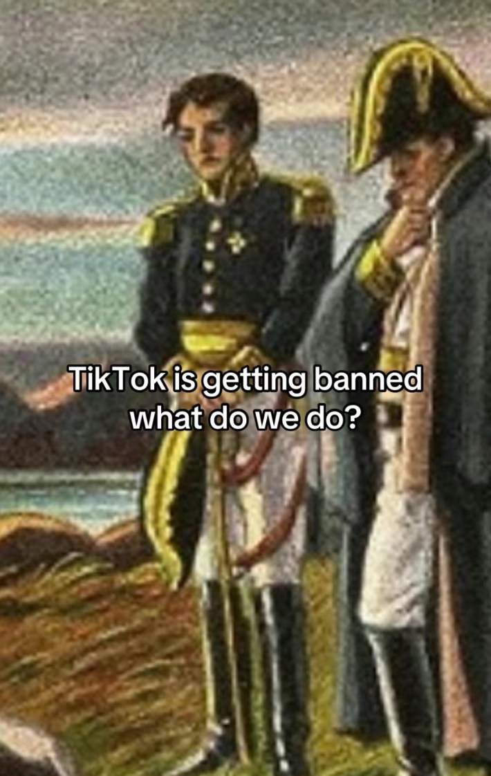 TikTok screenshot of a weary Napoleon with a soldier painting. Text overlay says, "TikTok is getting banned what do we do?"