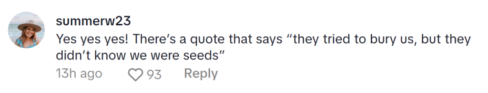 Comment responding to the woman who became a liberal after joining TikTok. Text reads, "Yes yes yes! There’s a quote that says 'they tried to bury us, but they didn’t know we were seeds'”