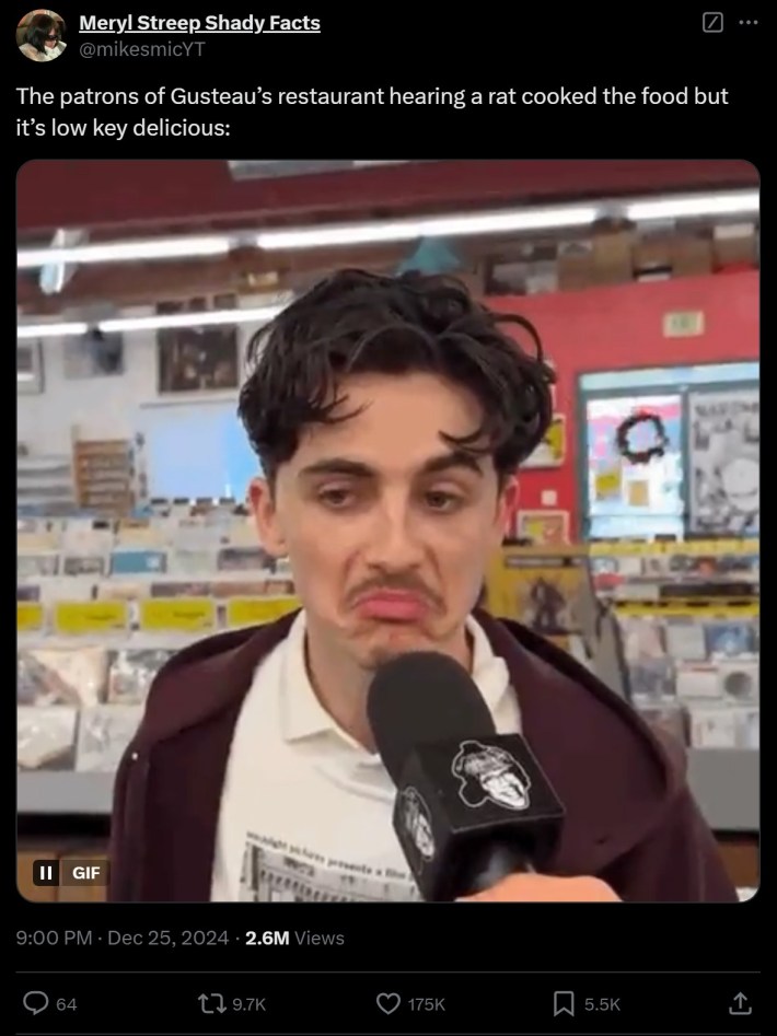 "The patrons of Gusteau’s restaurant hearing a rat cooked the food but it’s low key delicious" timothee chalamet frowning meme