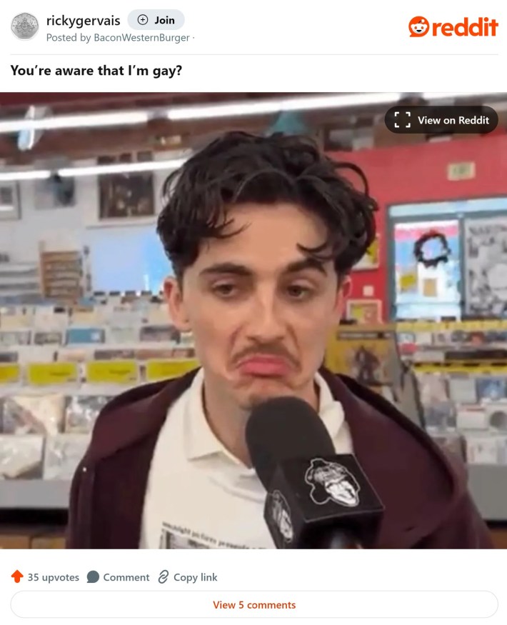 "you're aware that i'm gay?" timothee chalamet frowning meme