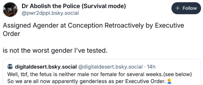 Bluesky post reading "Assigned Agender at Conception Retroactively by Executive Order is not the worst gender I've tested."