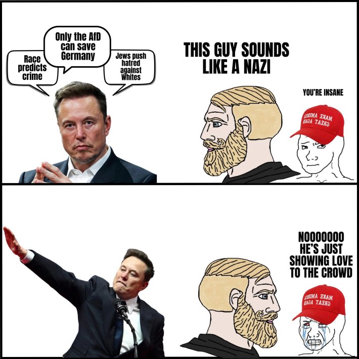 Trump inauguration day 2025 meme of Elon Musk doing the Nazi salute mentioning the German AfD party.