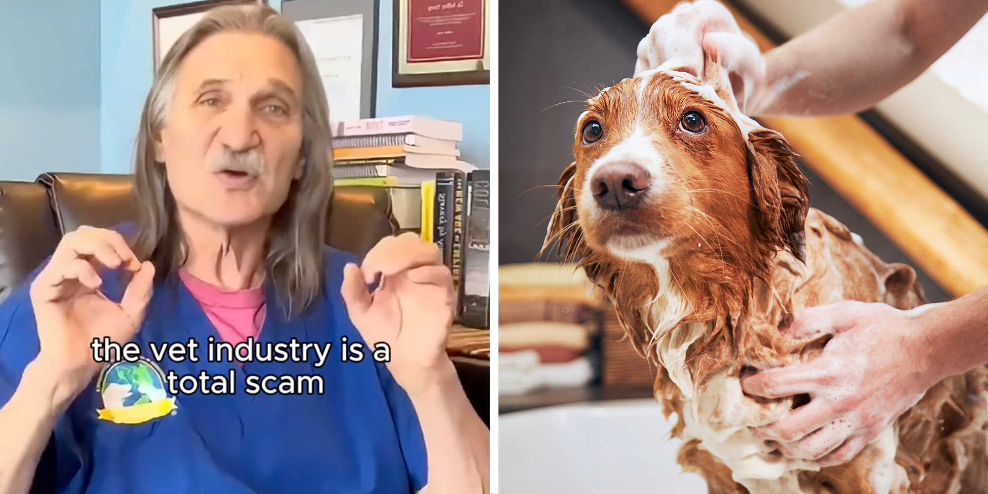 Man talking with text "the vet industry is a total scam"(l), Dog getting shampooed(r)