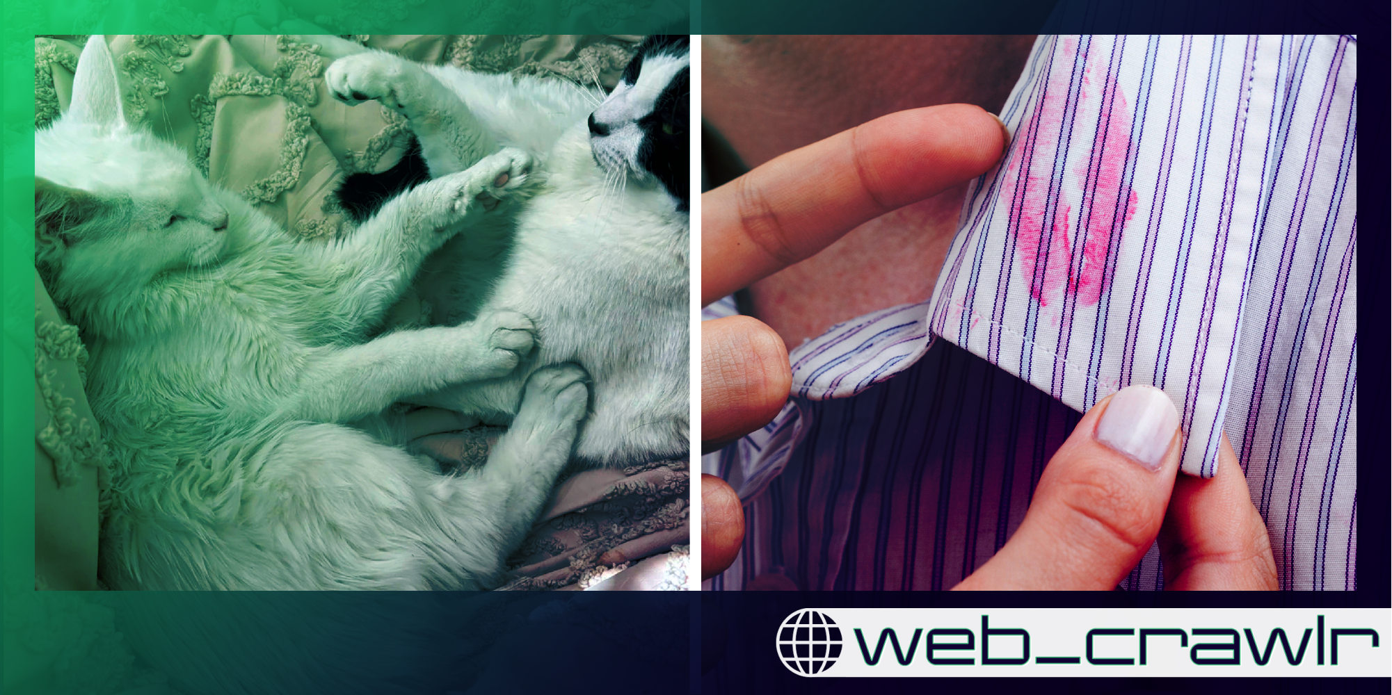 A cat next to a collar that has lipstick on it. The Daily Dot newsletter web_crawlr logo is in the bottom right corner.