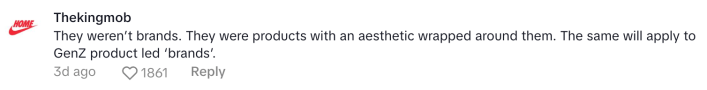 TikTok comment on aesthetic
