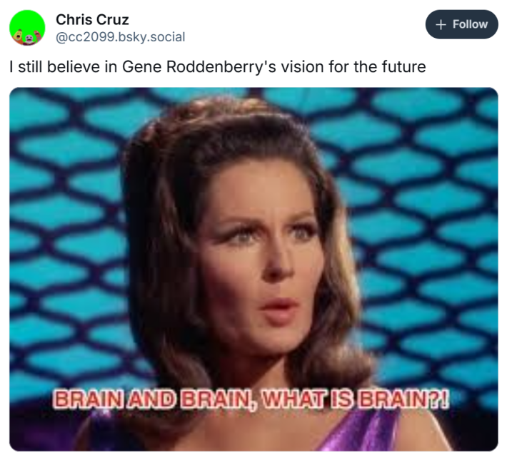 I still believe in Gene roddenberry's vision for the future meme with a woman saying, "Brain and brain, what is brain?!"