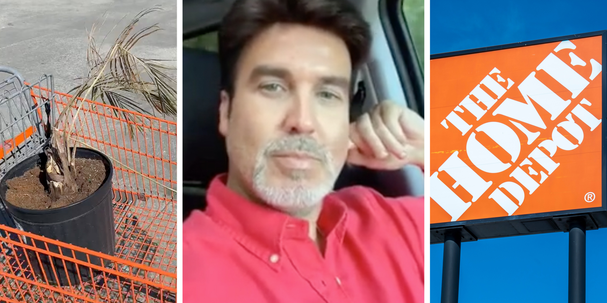 Dead plant(l), Man talking(c), The Home Depot sign(r)