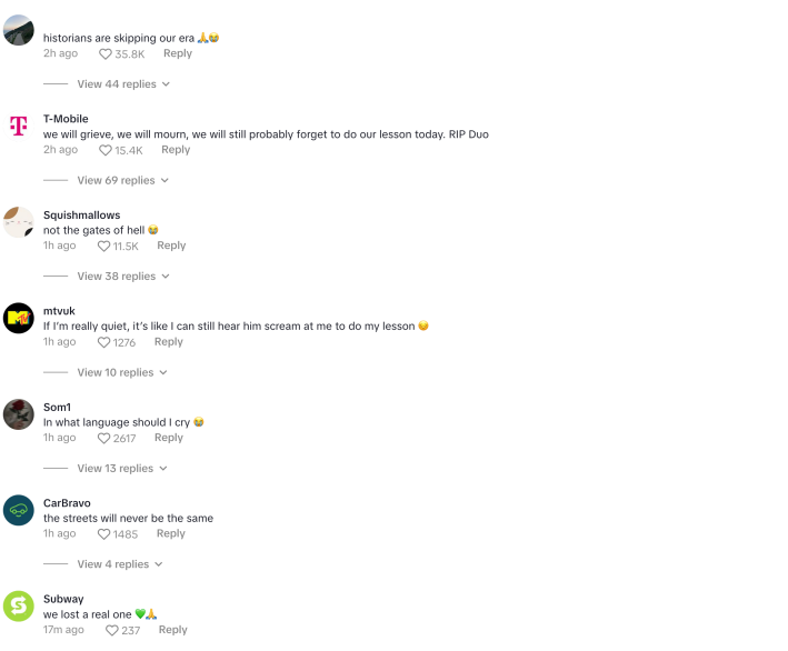 Comments on the TikTok post of Duo being hit by a cybertruck