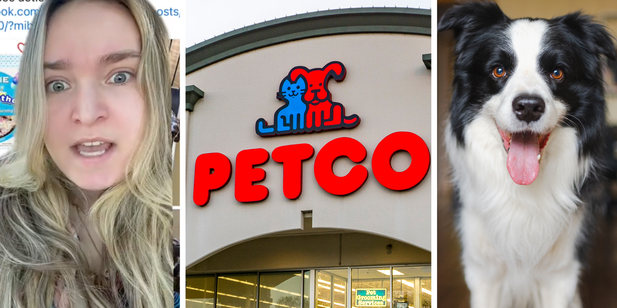 Woman talking(l), Petco(c), Dog(r)