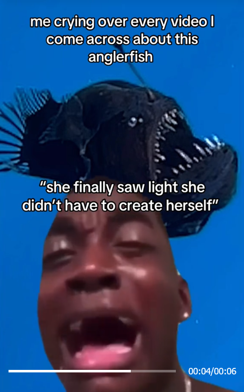 TikTok video of a man crying over an anglerfish.