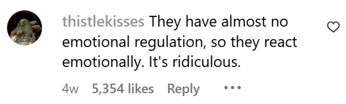 Boomer panic comment, text reads, "They have almost no emotional regulation, so they react emotionally. It's ridiculous."