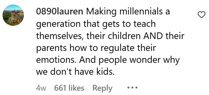 Boomer panic comment, text reads, "Making millennials a generation that gets to teach themselves, their children AND their parents how to regulate their emotions. And people wonder why we don't have kids."