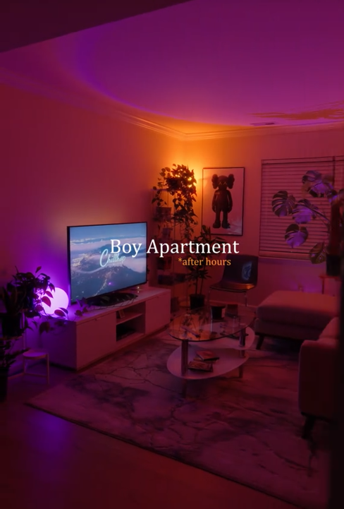 TikTok video showing a living room with mood lighting and modern furniture.